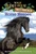 Horse Heroes (A Nonfiction Companion to Magic Tree House Merlin Mission #21: Stallion by Starlight) by Mary Pope Osborne, Natalie Pope Boyce, Sal Murdocca, 9780375870262
