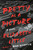 Pretty as a Picture (A Novel) - 9780143110552 by Elizabeth Little