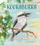 Kookaburra by Claire Saxby, Tannya Harricks, 9781536215199