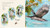 Kookaburra by Claire Saxby, Tannya Harricks, 9781536215199