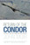 Return of the Condor (The Race to Save Our Largest Bird from Extinction) by John Moir, 9781592289493