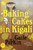 Baking Cakes in Kigali (A Novel) by Gaile Parkin, 9780385343442