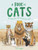 A Book of Cats (At home with cats around the world) by Katie Viggers, 9781913947248