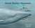 About Marine Mammals (A Guide for Children (Educational Science Book About Whales, Dolphins, Polar Bears & More for STEM Learning)) by Cathryn Sill, John Sill, 9781561459063