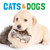Cats & Dogs by Stephanie Meyers, 9781486715824