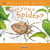 Are You a Spider? by Judy Allen, Tudor Humphries, 9780753456095