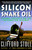 Silicon Snake Oil (Second Thoughts on the Information Highway) by Clifford Stoll, 9780385419949