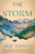 The Storm (A Novel) by Arif Anwar, 9781501174513