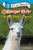 Ranger Rick: I Wish I Was a Llama by Jennifer Bové, 9780062432285