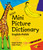 Milet Mini Picture Dictionary (English-Polish) by Sedat Turhan, Sally Hagin, 9781840594720