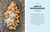How to Forage for Mushrooms without Dying (An Absolute Beginner's Guide to Identifying 29 Wild, Edible Mushrooms) by Frank Hyman, 9781635863321
