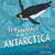 Ten Animals in Antarctica (A Counting Book) by Moira Court, Moira Court, 9781623542320