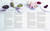 Superfood Juices and Smoothies (Over 100 recipes for all-natural fruit and vegetable drinks with added super-nutrients) by Nicola Graimes, 9781849759311
