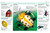 Pocket Genius Bugs (Facts at Your Fingertips) by DK, 9781465445605