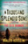A Thousand Splendid Suns by Khaled Hosseini, 9781594483851