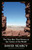 The Tiny Bee That Hovers at the Center of the World by David Searcy, 9780593133644
