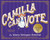 Camilla Can Vote (Celebrating the Centennial of Women's Right to Vote) by Mary Morgan Ketchel, Marsha Blackburn, 9781948677547