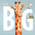 Little Big by Jonathan Bentley, 9780802854629