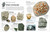 Eyewitness Rocks and Minerals - 9780744039054 by DK