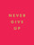Never Give Up (Miniature Edition) by Summersdale, 9781786859785