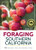 Foraging Southern California (118 Nutritious, Tasty, and Abundant Foods) - 9781591939986 by Douglas Kent, 9781591939986