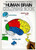The Human Brain Coloring Book (A Coloring Book) by Marian C. Diamond, Arnold B. Scheibel, 9780064603065