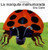 La mariquita malhumorada (The Grouchy Ladybug (Spanish edition)) by Eric Carle, Eric Carle, 9780060270896