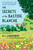 The Secrets of the Bastide Blanche by M. L. Longworth, 9780143131427