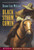 Black Storm Comin' by Diane Lee Wilson, 9780689871382