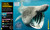 Super Shark Encyclopedia (And Other Creatures of the Deep) by DK, 9781465435842