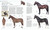 The Horse Encyclopedia by Elwyn Hartley Edwards, 9781465451439