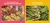 Rah, Rah, Radishes! (A Vegetable Chant) by April Pulley Sayre, April Pulley Sayre, 9781442499270