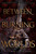 Between Burning Worlds by Jessica Brody, Joanne Rendell, 9781534410671