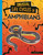Unusual Life Cycles of Amphibians by Jaclyn Jaycox, 9781496697004