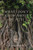 What I Don't Know about Death (Reflections on Buddhism and Mortality) by C. W. Huntington, 9781614297505