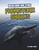 Megalodon and Other Prehistoric Sharks by Tammy Gagne, 9781663906397