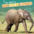 All About Baby African Elephants by Martha E. H. Rustad, 9781663907752