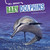All About Baby Dolphins by Martha E. H. Rustad, 9781663907837