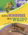 Is It a Honeybee or a Wasp? by Susan B. Katz, 9781663908636