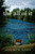 The All of It (A Novel) by Jeannette Haien, 9780062090096