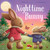 Nighttime Bunny (Padded Board Book) by Melanie Joyce, 9781499880816 Nighttime Bunny (Padded Board Book) by Melanie Joyce, 9781499880816