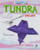 Easy Tundra Origami - 9781636913261 by Jennifer Sanderson, 9781636913261