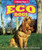 Eco Dogs by Megan Cooley Peterson, 9781636911304