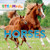 Horses - 9781946260925 by Ben Grossblatt, 9781946260925 Horses - 9781946260925 by Ben Grossblatt, 9781946260925