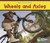 Wheels and Axles - 9781432965914 by Sian Smith, 9781432965914