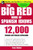The Big Red Book of Spanish Idioms (4,000 Idiomatic Expressions) by Peter Weibel, 9780071433020