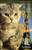 The Cat Who Went to Paris by Peter Gethers, 9780449907634