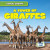 A Tower of Giraffes by Seth Lynch, 9781538263617