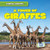 A Tower of Giraffes - 9781538263631 by Seth Lynch