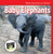 Baby Elephants - 9781502655974 by Nicole Horning